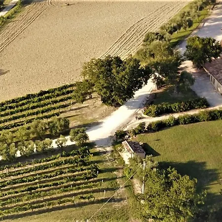 Ancient Farmhouse With Private Pool And Winery Xiv Century Domek letniskowy